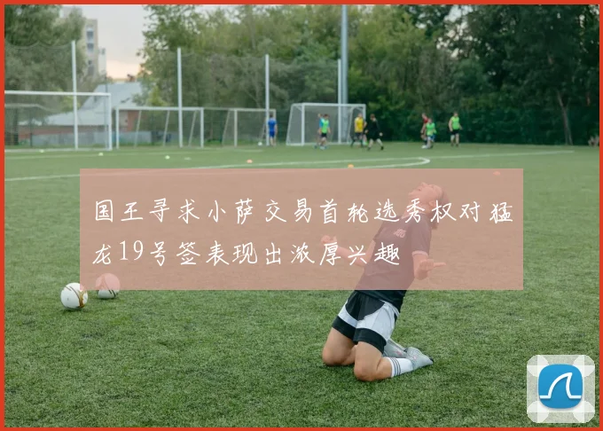 国王寻求小萨交易首轮选秀权对猛龙19号签表现出浓厚兴趣